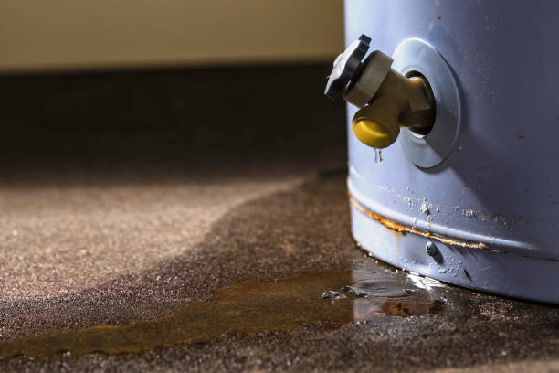 Best Water damage restoration services  in Searles Valley, CA