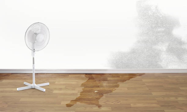  Searles Valley, CA Water damage restoration Pros