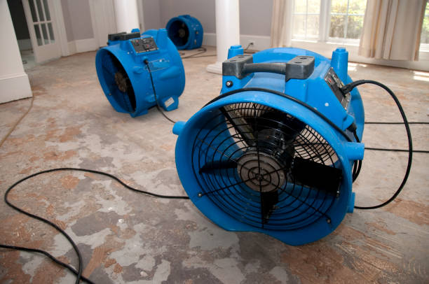 Best Residential water damage restoration  in Searles Valley, CA