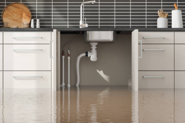 Best Water damage cleanup near me  in Searles Valley, CA