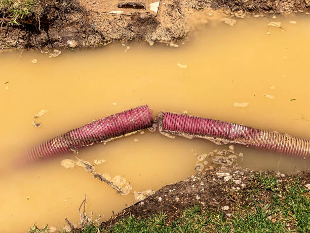 Professional Water damage restoration in Searles Valley, CA
