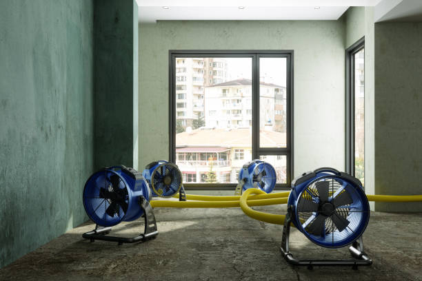 Best Commercial water damage restoration  in Searles Valley, CA